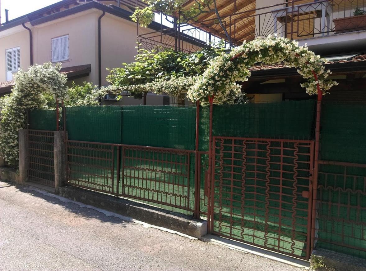 Apartment Casa Del Sol Novigrad  Ngoại thất bức ảnh